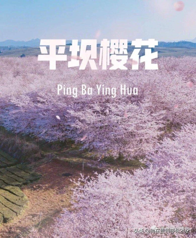 层层恐惧